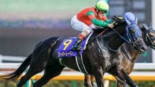 【ジャパンC予想】GI馬でも「ある条件」でバッサリ!? 牝馬、外国人騎手が優勢も…。