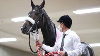 【阪神JF想定】ウォーターナビレラは武豊騎手、サークルオブライフはM.デムーロ騎手