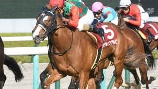【京阪杯予想】3歳馬で大丈夫？ この時期だから考えられる「レース間隔」の重要性