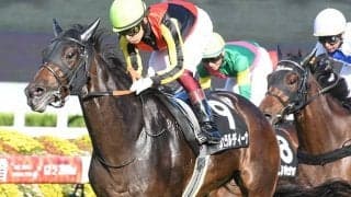 【チャレンジC想定】古豪ペルシアンナイト、新星ソーヴァリアント・ジェラルディーナなど11頭