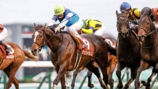 【ジャパンC】アリストテレス音無師「菊花賞の再現をしてほしい」/ねぇさんのトレセン密着