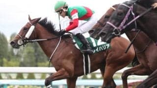 【京阪杯前日オッズ】3歳牝馬レイハリアが3.9倍で1番人気、シヴァージが続く