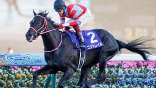 【ジャパンC前日オッズ】昨年の三冠馬コントレイルが1.7倍で断然人気、今年のダービー馬シャフリヤールが続く