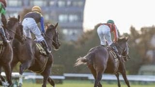 【ジャパンC予想】決まり手に差はない、力を存分に出せる馬場状態/万哲の馬場予報