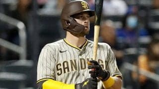 西武新助っ人は「海外で成功を掴む」　米メディアが示した“妥当な根拠”とは