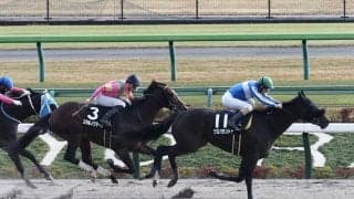 【シャングリラS】キズナ産駒 クロパラントゥが6連勝