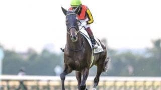 【ジャパンC予想】敏腕記者が大一番を展望　伏兵含めた各馬のキーポイントは