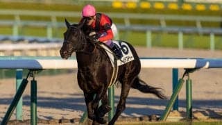 【阪神12R】武豊 アールラプチャーが3勝目