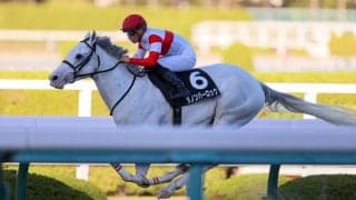 【茨木S】ダノンハーロックが3連勝