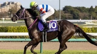 【京阪杯予想】実績馬を重視したい名物スプリント重賞