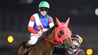 【船橋・クイーン賞枠順確定】サルサディオーネは3枠4番、ウェルドーンは6枠10番