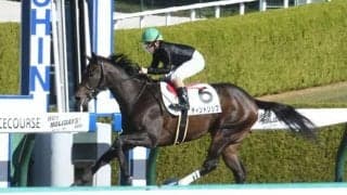 【阪神4R新馬戦結果】松若風馬騎手騎乗ティントリップが人気に応えて完勝