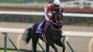 【ジャパンC 13時時点オッズ】コントレイルが単勝1.6倍の1番人気、シャフリヤールが5.0倍で続く
