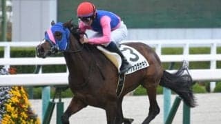 【阪神6R新馬戦結果】4番人気メイショウラナキラが4馬身差圧勝で初陣V
