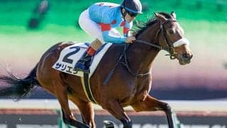 【東京6R新馬戦結果】サリオスの妹サリエラが3馬身差V、ルメール騎手は騎乗機会6連勝