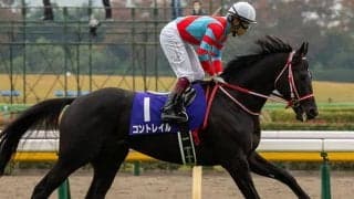 【ジャパンC・馬体重】コントレイルは456kg(-8)、シャフリヤールは446kg(-6)