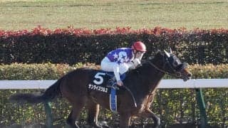 【アプローズ賞】C.デムーロ騎乗 サンライズウルスが抜け出す