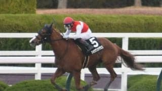 【JRA・WIN5】ジャパンCデーのWIN5は的中3415票、配当17万1270円