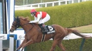 【カノープスS結果】オルフェーヴル産駒牝馬ショウナンナデシコがオープン入り初戦を快勝