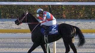 【ジャパンC】コントレイルが有終V