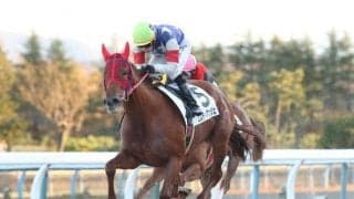 【金沢ヤングチャンピオン結果】エムティアンジェが人気に応えて重賞3勝目