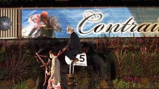 コントレイル引退式 JCで有終V