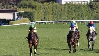 【オリエンタル賞】グランオフィシエが人気に応える