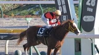 【ウェルカムS】ジャックドールが3連勝