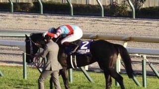 WIN5は3415票的中と堅調