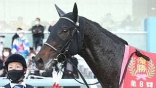 【京都2歳S】売上は31億1890万1000円で昨年からおよそ2億円の増加