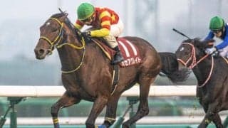 【ステイヤーズS見どころ】オセアグレイトの連覇なるか