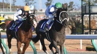 【チャンピオンズC見どころ】昨年覇者チュウワウィザードが中心か 白毛ソダシの初ダートにも注目