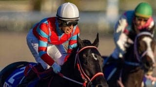 【ジャパンCレース回顧】三冠馬に相応しい貫禄
