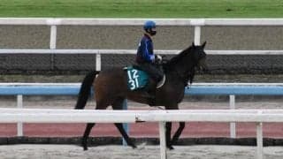 ジェラルディーナ半妹マリーナドンナが福永祐一騎手でデビュー/関西馬メイクデビュー情報