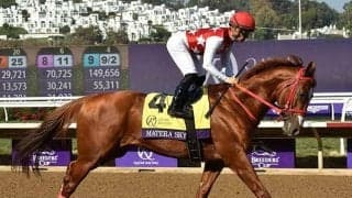 【JRA】マテラスカイが競走馬登録抹消　ドバイ、サウジアラビアなど海外で7戦