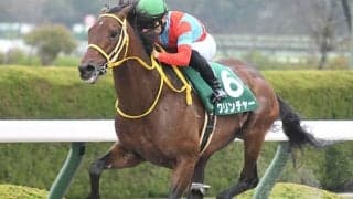 【チャンピオンズC予想】鞍上込みなら勝率「100%」!? 好調AIが指名する妙味ある「◎」とは…