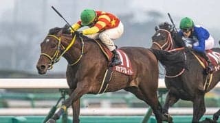 【ステイヤーズS想定騎手】オセアグレイトは横山典弘騎手、ボスジラは菅原明良騎手