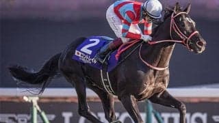 ディープ-コントレイルのラインが日本の生産界を背負うことに期待＆チャンピオンズCで頼りになる血