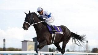 【チャンピオンズC想定騎手】チュウワウィザードは戸崎圭太騎手、ソダシは吉田隼人騎手