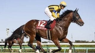 【チャレンジC想定騎手】ソーヴァリアントはC.ルメール騎手、ジェラルディーナは福永祐一騎手