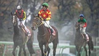 【ステイヤーズS展望】特殊な条件でリピーターが多いレース