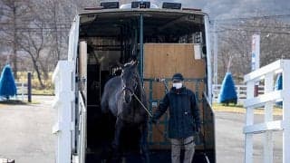 「クラシックを目指せる馬を」GI・2勝ワールドプレミアがスタッドイン