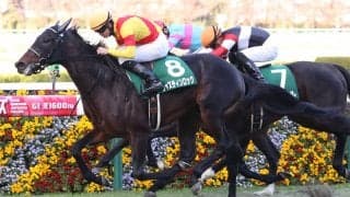 【京都2歳S】ジャスティンロックが重賞初制覇