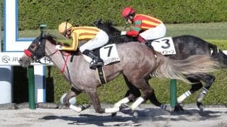 【新馬/阪神6R】アロゲート産駒 フーリッシュホビーがデビューV