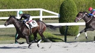 【新馬/阪神4R】ロードカナロア産駒 ティントリップがデビューV