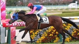 【新馬/阪神6R】ドゥラメンテ産駒 メイショウラナキラがデビューV