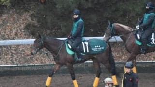 ラウドスピリッツなど、先週のゲート試験/栗東トレセンニュース