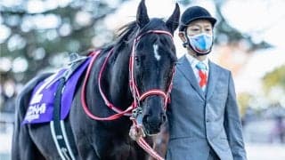 コントレイルの種付料は1200万円！父ディープインパクトの後継種牡馬へ