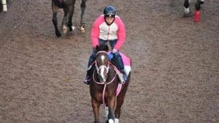 グランドエルグなど、先週の入厩情報/栗東トレセンニュース