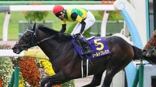 【先週のJRA抹消馬】ワールドプレミアは優駿SS、マテラスカイはブリーダーズSSでそれぞれ種牡馬入り